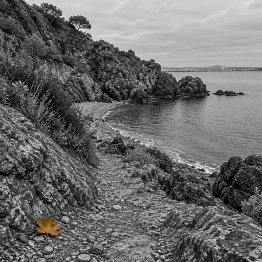 Red rock and quiet coves: autumn walks in the Esterel from a Cannes base