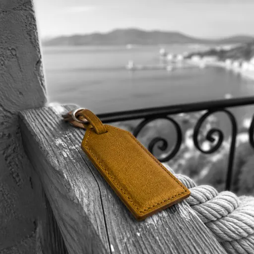 French Riviera villa rental elegance for Cannes travelers seeking sea view stays